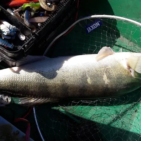 Blanki Siedlisko Agroturystyczne Jestem