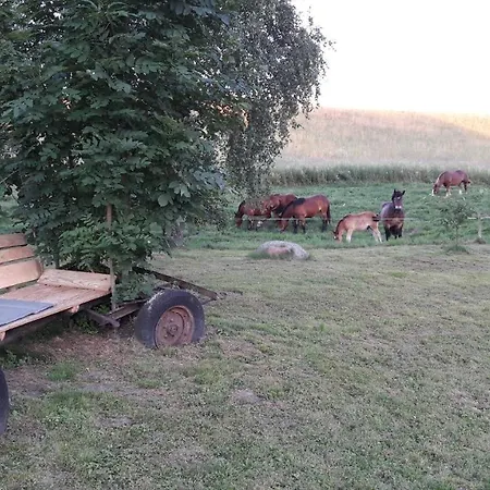 アパート Blanki Siedlisko Agroturystyczne Jestem リジバルク・バルミンスキ