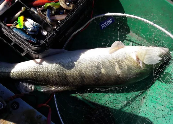 Blanki Siedlisko Agroturystyczne Jestem