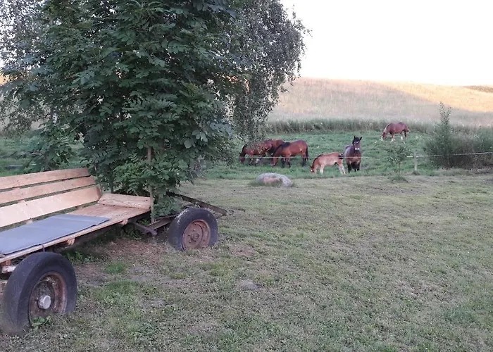 Appartement Blanki Siedlisko Agroturystyczne Jestem Lidzbark Warmiński